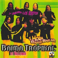 1 Hora para Bailar - La Banda tropikal De Vallenar