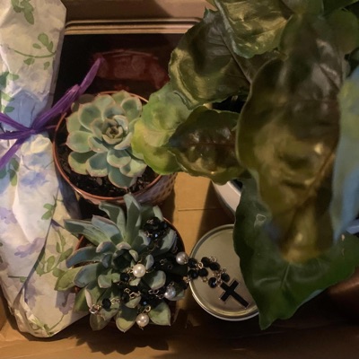 Why Can't We Be In Love? - Single