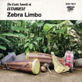 Zebra Limbo artwork