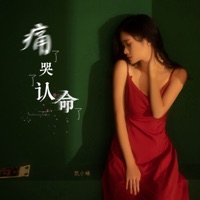 痛了哭了认命了 - Single - Kai Xiaoqing