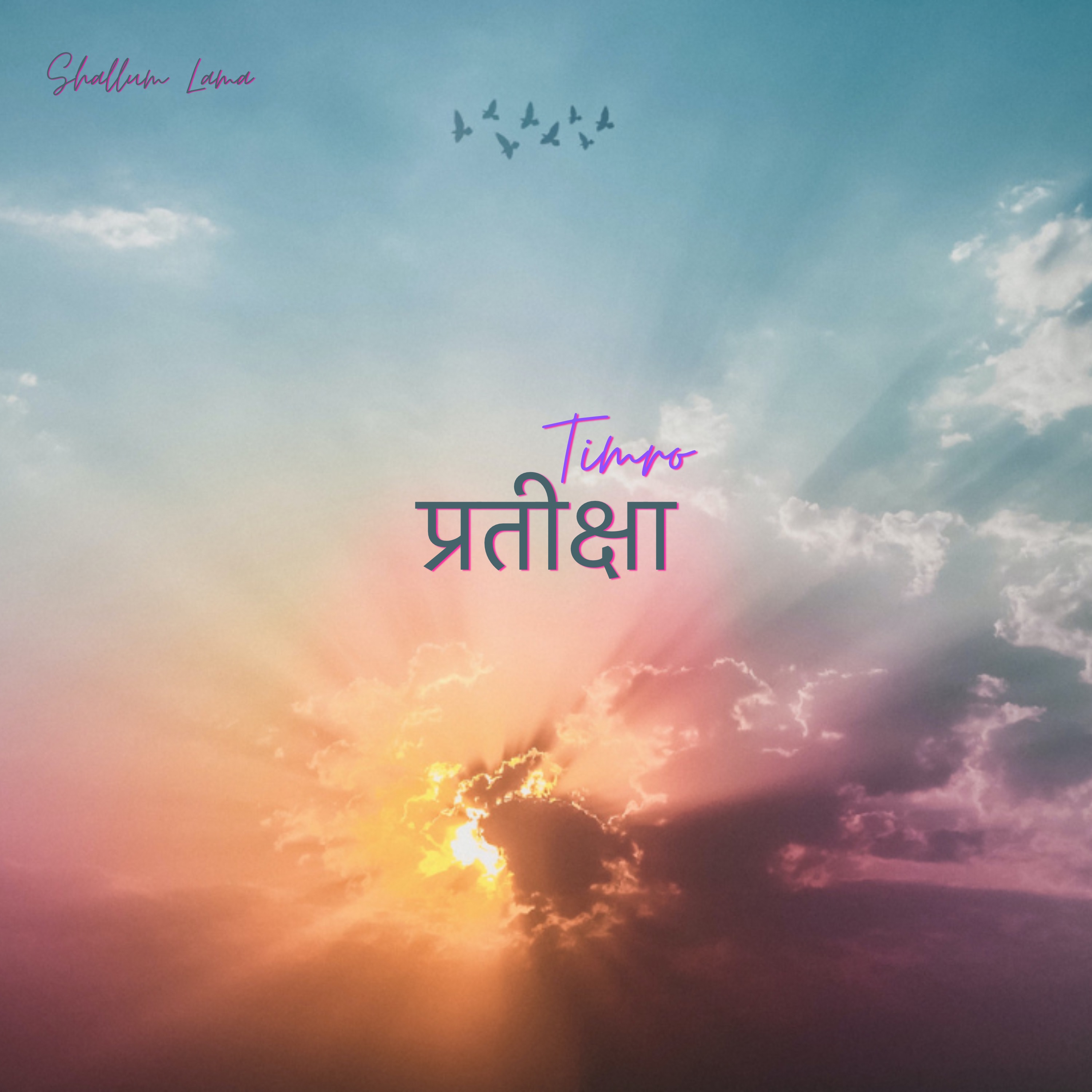Timro Pratiksa - Single