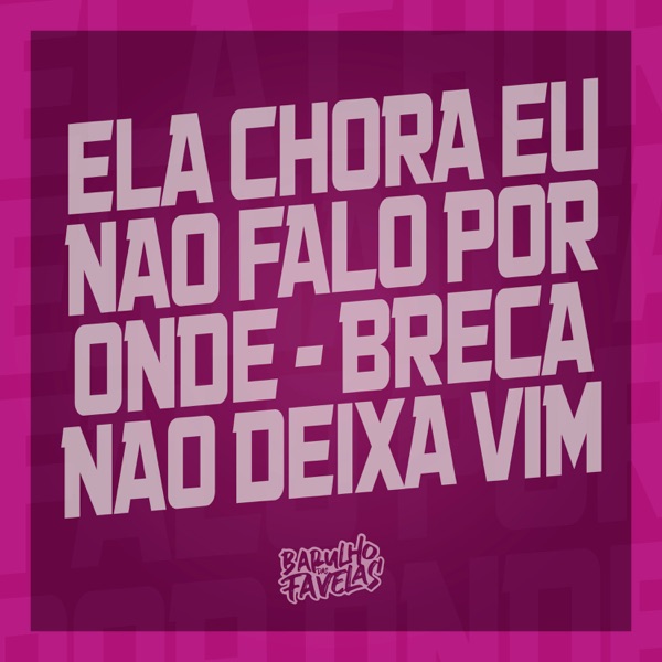 Ela Chora Eu Não Falo por Onde - Breca Não Deixa Vim