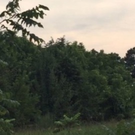 this time (feat. Checks N Balances) Skean