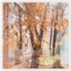 While the Leaves Blow - Single