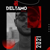 The Story Of 2021 - DeltaMo