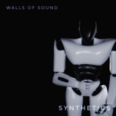 Walls of sound - Expansion