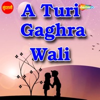 A Turi Gaghra Wali - Vinod Joshi, Sanju Baghel & Sanju