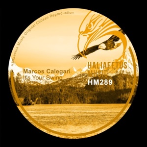 It's Your Swing - Single