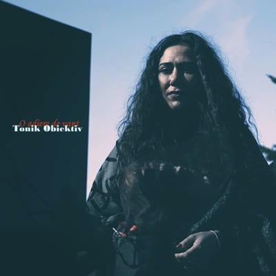 O Adiere De Vant - Single