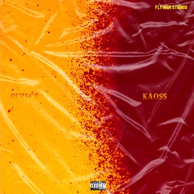 The Perfct Kaoss - EP