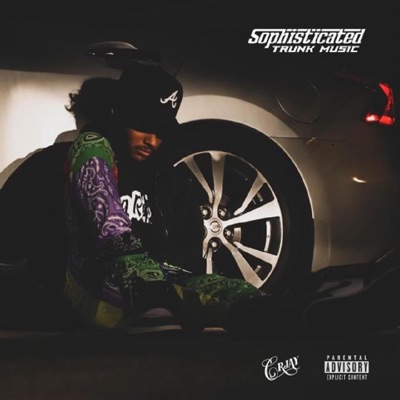 Sophisticated Trunk Music