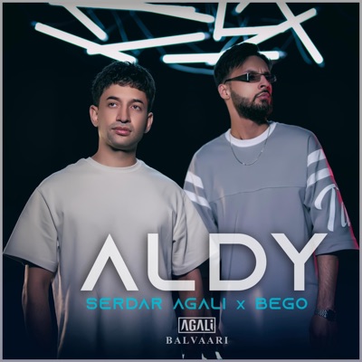 Aldy (feat. Bego) - Single