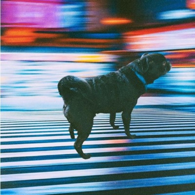 Tongue-When It's Over, You'LL Be Golden