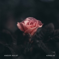 Känslig - Single - Andor Holst