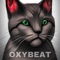 Bodacious - Oxybeat lyrics