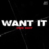 Want It (DnB Edit) artwork