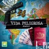 Vida Peligrosa artwork