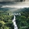 Forestre - Lianas lyrics