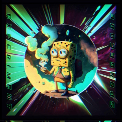 Experiment Spongecore - Single
