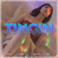 Tingin (feat. Clien, Papi Gii & RVD) - Single - M I A M