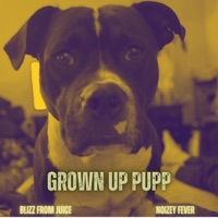 Grown Up Pupp (feat. Blizz From Juice) - Single - FiveEight Fever