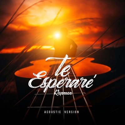 Te Esperaré (Acoustic Version) - Single
