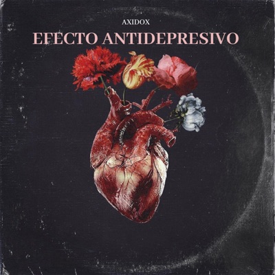 Efecto Antidepresivo - Single
