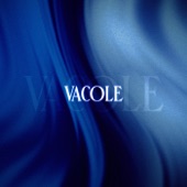 Vacole artwork