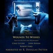 Wounds to Wishes: Dark Tide Mysteries and Thrillers, Book 1 (Unabridged) - Chad Lutzke, John Boden, Robert Ford & Crystal Lake Publishing