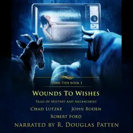 Wounds to Wishes: Dark Tide Mysteries and Thrillers, Book 1 (Unabridged)