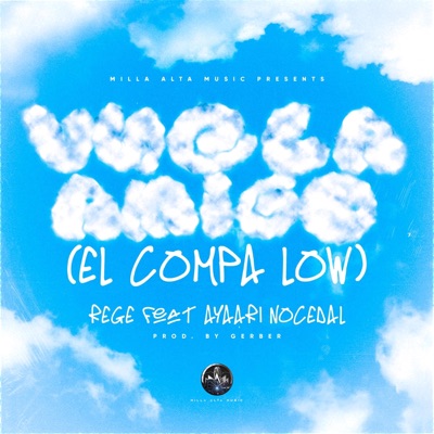 Vuela amigo (el compa low) (feat. Ayaari Nocedal) - Single