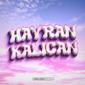 HAYRAN KALICAN artwork