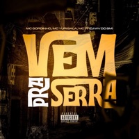 Vem Pra Serra (feat. Mc Gordinho do catarina, Mc Jv & Mc Yuri Bala) - Single - DJ WV Oficial