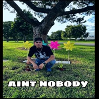 Aint Nobody - Single - SteezyMerk