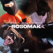 ROSOMÁK (feat. Tom Orrow) artwork