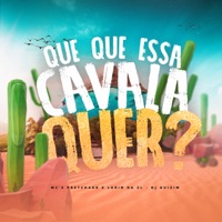 Que Que Essa Cavala Quer? - Single - dj guizim, mc pretchako & MC LORIN DA ZL