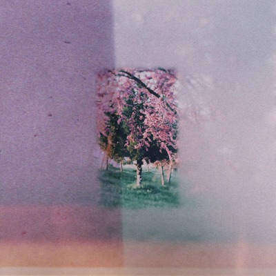 Contemplate - Single