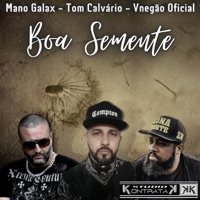 Boa Semente - Single - Mano Galax, Tom Calvário & Vnegão Oficial