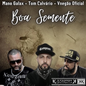 Boa Semente - Single
