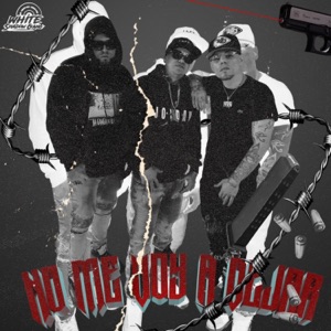 No Me Voy A Dejar (feat. HOLLOWPOINT & Doble N) - Single