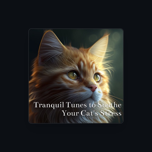 Cat Music Relaxation's avatar