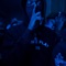 Scene - KCMoney lyrics
