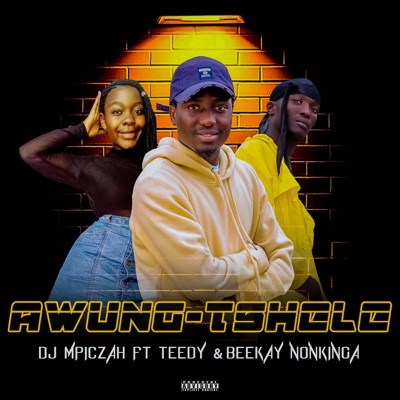 Awung'tshele (Radio Edit) [feat. Beekay Nonkinga & Teedy] - Single