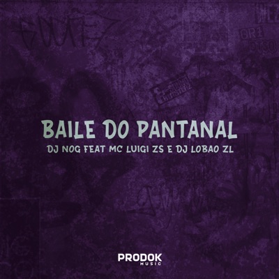 Baile do Pantanal (feat. DJ Lobão ZL & MC LUIGI ZS) - Single