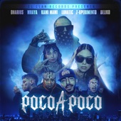 Poco a Poco (feat. Lunatic, Z-Xperimento & Beliko) artwork