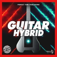 Guitar Hybrid - Perfect Time