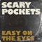 Easy on the Eyes - David Ryan Harris & Scary Pockets lyrics