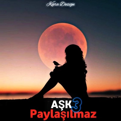 Kara Design - Aşk Paylaşılmaz 3