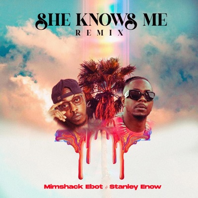 She Know Me (Stanley Enow Remix) - Single