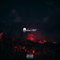 Fresh Start - Ace Wild